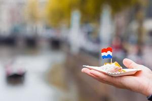 saboroso arenque fresco com cebola e bandeira da Holanda no fundo do canal de água em amsterdã. comida holandesa tradicional foto