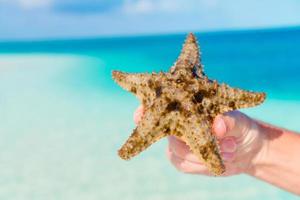 feche a estrela do mar nas mãos fundo o mar turquesa foto