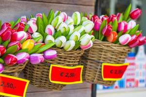venda de tulipas holandesas de plástico no mercado de flores foto