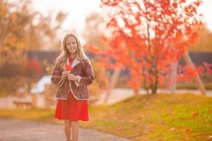 retrato de menina adorável com buquê de folhas amarelas e laranja ao ar livre no lindo dia de outono foto