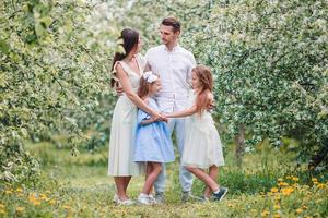 família adorável no jardim cerejeira florescendo em lindo dia de primavera foto