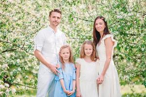 família adorável no jardim cerejeira florescendo em lindo dia de primavera foto