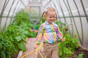 menina adorável com a colheita em uma estufa foto