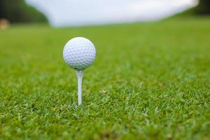 bola de golfe em um tee contra o campo de golfe foto