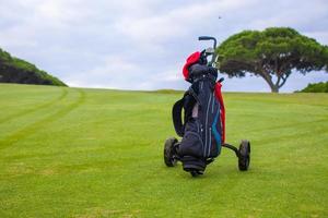 close-up do saco de golfe em um campo verde perfeito foto