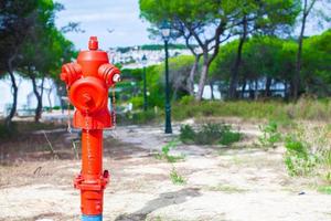 hidrante vermelho na natureza na europa foto