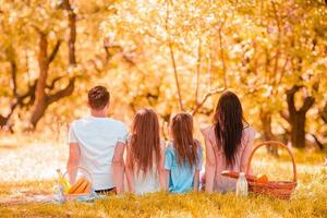 família feliz em um piquenique no parque em um dia ensolarado foto