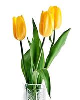 buquê de tulipas amarelas foto