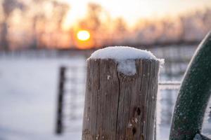 neve em uma postagem ao amanhecer foto