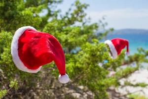 chapéu de papai noel em fundo de arbusto de abeto o mar turquesa na praia tropical foto