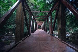 ponte no parque nacional da cachoeira khao chamao foto