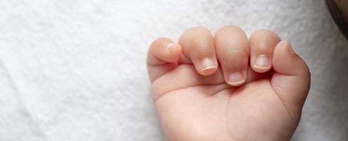 mão de um bebê recém-nascido foto
