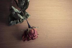 rosa seca em uma mesa de madeira foto