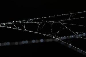 gotas de água na teia de aranha, close-up foto