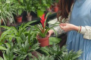 mulher segurando um vaso de planta foto