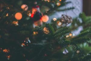 árvore de natal e luzes de bokeh foto