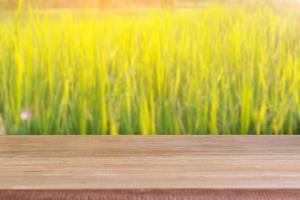 mesa em branco de madeira com fundo de campo de arroz. foto