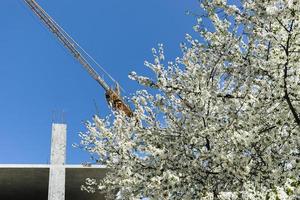 guindaste de construção com árvores floridas de primavera foto