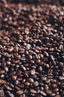 close up de grãos de café