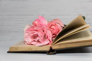 rosas cor de rosa e livros em madeira rústica foto