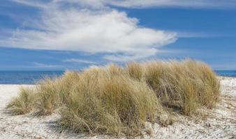 nas dunas do mar do norte, alemanha foto