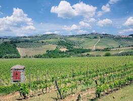 paisagem de vinhedos na toscana, itália foto