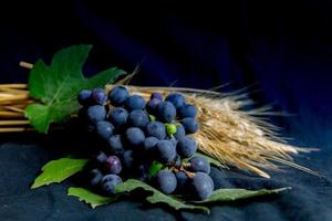 pão de uvas de trigo e coroa de espinhos em fundo preto como um símbolo do cristianismo foto