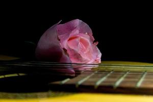 um botão rosa nas cordas da guitarra foto