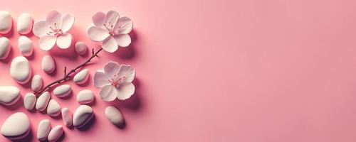 pedras brancas com flores em flor no fundo rosa. fundo de banner panorâmico com espaço de cópia. foto