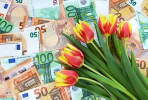 buquê de tulipas vermelho-amarelas com folhas verdes em fundo de notas de 50 e 100 euros. preços de primavera, vendas, descontos, presentes, parabéns. financeiro, banco, dinheiro, economia. lugar para texto. foto