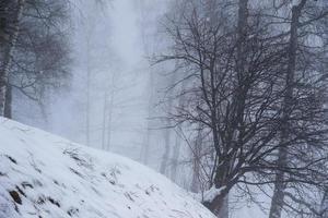 paisagem de inverno nos alpes austríacos foto