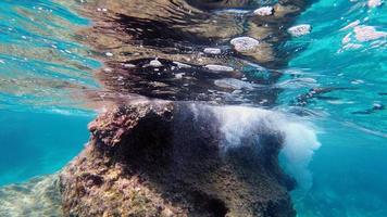 vista subaquática da água cristalina da sardenha durante o mergulho foto