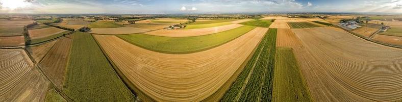 paisagem de vista aérea de campos de girassol com drone foto