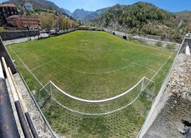 campo de futebol do país grama verde com flores amarelas foto