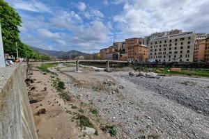 peste suína javali na cidade de Gênova, rio bisagno, vida selvagem urbana, procurando comida no lixo e descansando foto