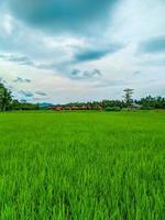 vista pacífica da aldeia. enormes campos agrícolas no meio de uma vasta paisagem. foto