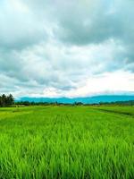 vista pacífica da aldeia. enormes campos agrícolas no meio de uma vasta paisagem. foto