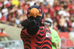 rio, brasil - 21 de janeiro de 2022, jogador mascote na partida entre flamengo x nova iguaçu pela 03ª rodada do campeonato carioca, no estádio do maracanã foto