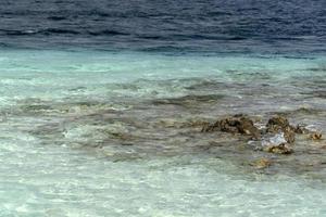 maldivas cristal turquesa água tropical ilha paradisíaca praia arenosa foto