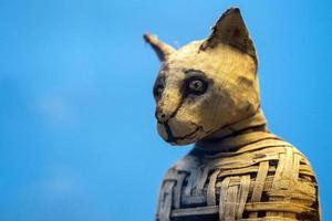 Gato de múmia egípcia encontrado dentro de tumba foto
