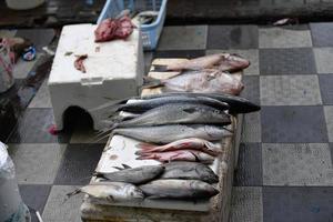 masculino, maldivas - março, 4 2017 - pessoas comprando no mercado de peixe foto