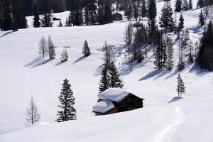 cabana de madeira no fundo da neve do inverno foto