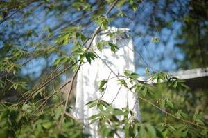 lindo vestido de noiva branco pendurado em uma árvore foto