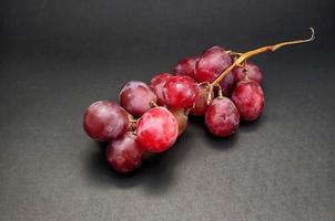 uvas frescas recém colhidas da vinha, isoladas em fundo preto. foto