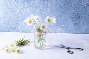 saudações de buquê de flores de anêmonas com primavera, para o dia das mães ou 8 de março foto