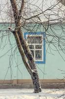 fechar galhos de árvores cobertos de vegetação na frente da foto do conceito de casa nevada