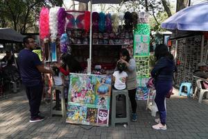 cidade do méxico, 3 de fevereiro de 2019 - parque da cidade chapultepec lotado de pessoas no domingo foto