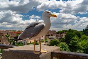 roma vista da cidade em dia nublado ensolarado foto