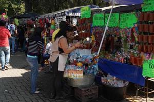 cidade do méxico, 3 de fevereiro de 2019 - parque da cidade chapultepec lotado de pessoas no domingo foto