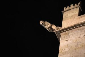 valencia mercado de troca de seda edifício lonja de la seda gárgulas à noite foto